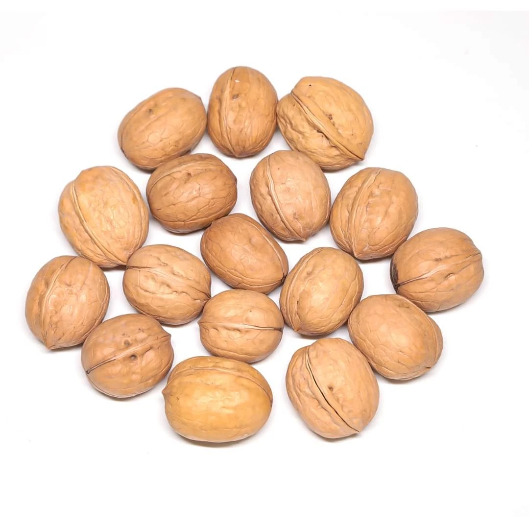 product-1080-1080 product-1080-1080